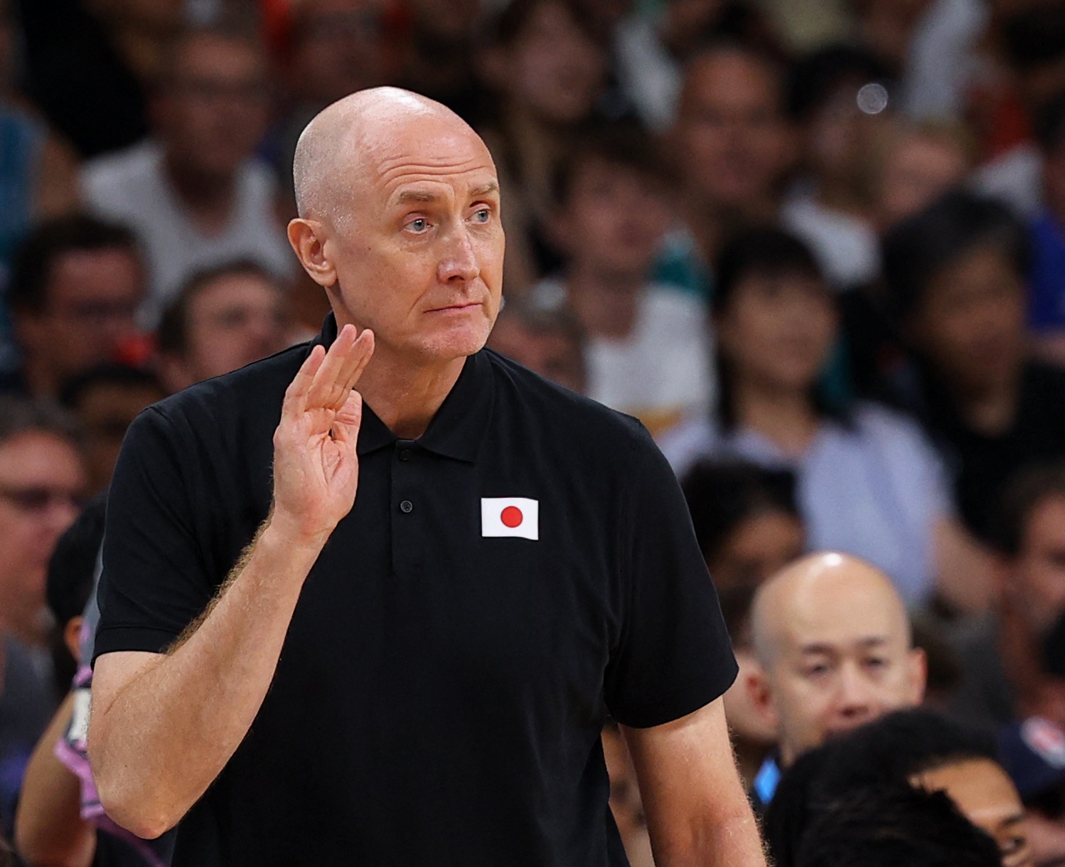 九游体育-姚明前队友郑志龙:姚明曾有意日本主帅霍瓦斯 高层想要本土教练